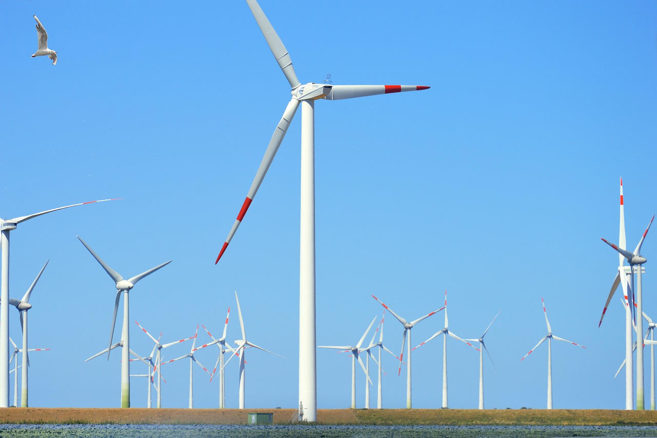 Why Every Business Should Consider Green Energy Solutions